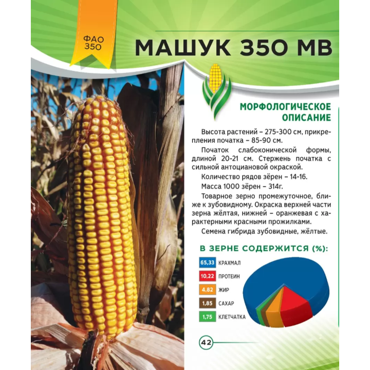 МИХАИЛ МВ