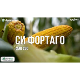ЦАА 3840 С
