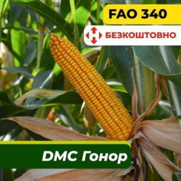 А 2304 З