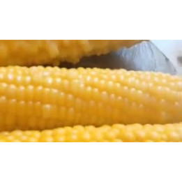 КЛ 7408 УМ