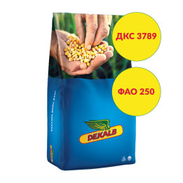 ДКС 3789