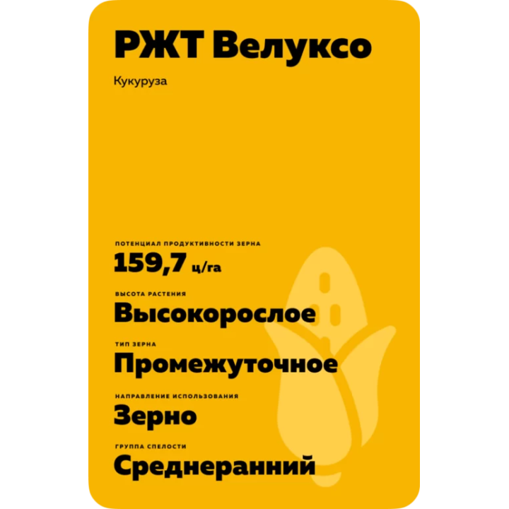 РЖТ БОКСЕР