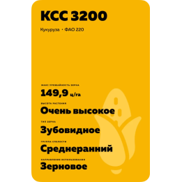 КИДЕМОС