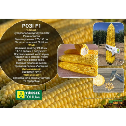 Р 0103