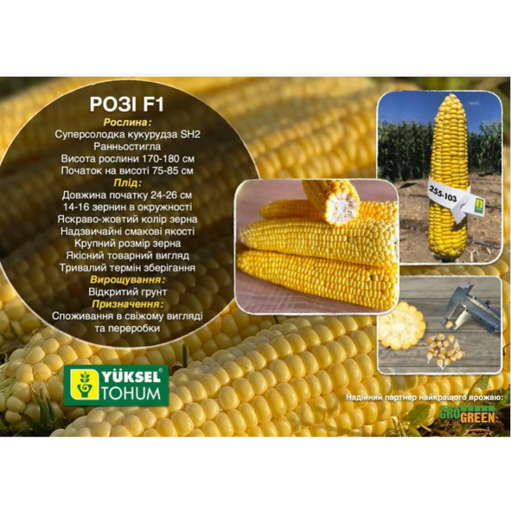 Р 0103