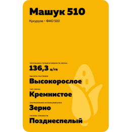 МАШУК 510