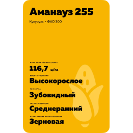 АМАНАУЗ 255