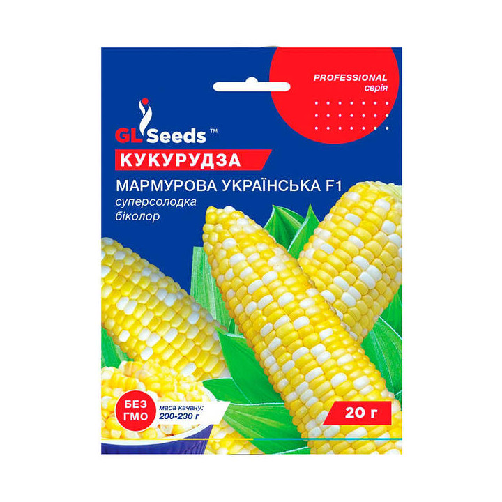 ПХ 1 ДН 1