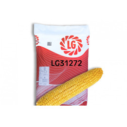 ЛИМНФУ 31 ХТ