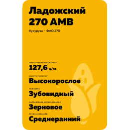 ЛАДОЖСКИЙ 270 АМВ