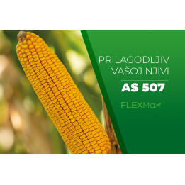 АС 507