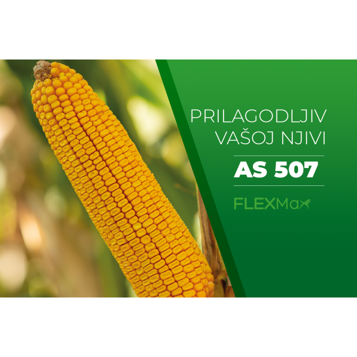 АС 507
