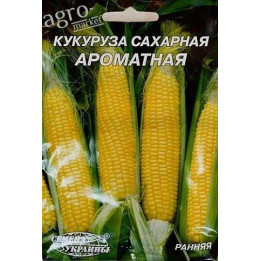 В 0491 З
