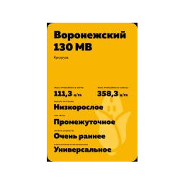 ВОРОНЕЖСКИЙ 266 МВ