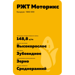 РЖТ АФИКС