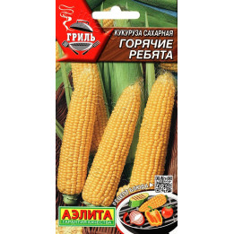 АЭЛИТА
