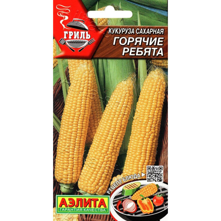 АЭЛИТА