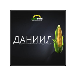 ДАНИИЛ МВ