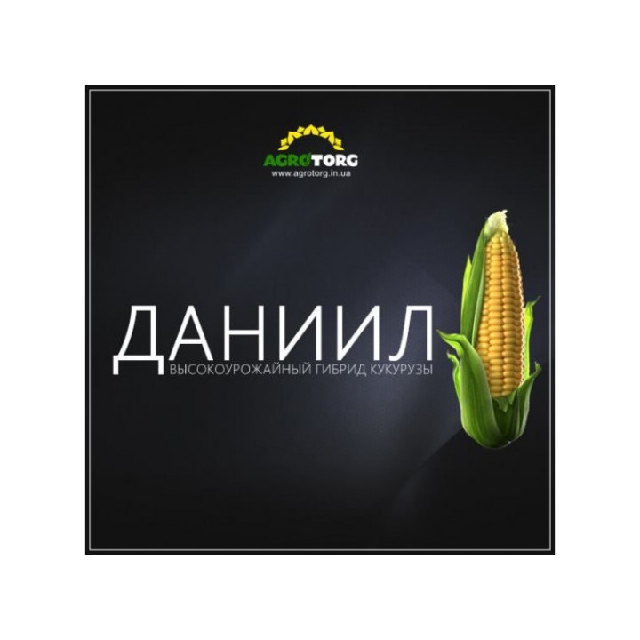ДАНИИЛ МВ