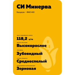 ВИТРАЖ МВ