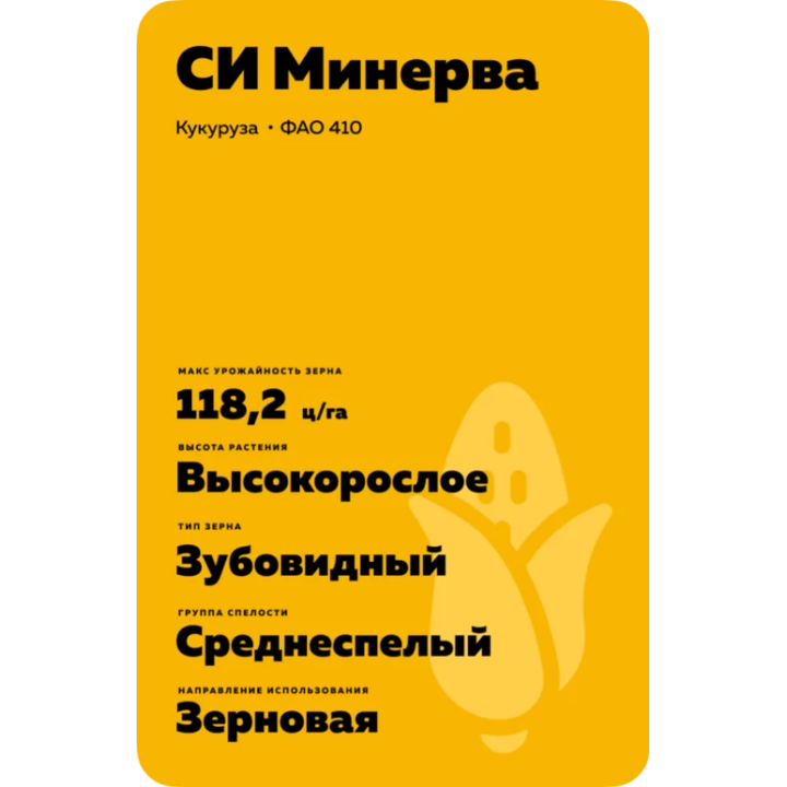 ВИТРАЖ МВ