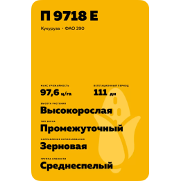 П 9718 Е