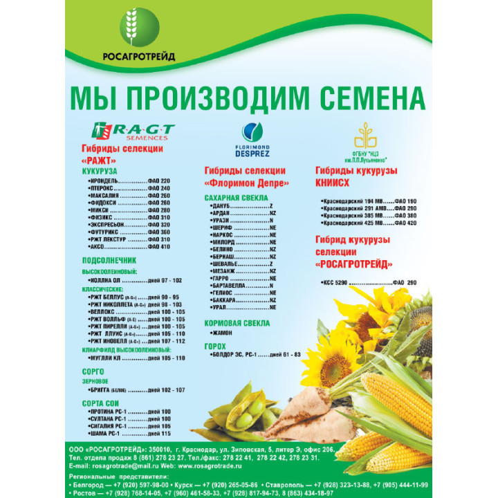 ФИДОКСИ