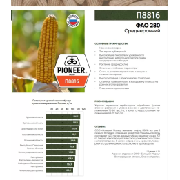 П 8816