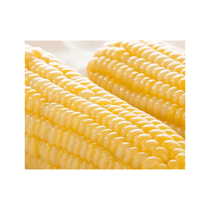 ПХ 5 ГП