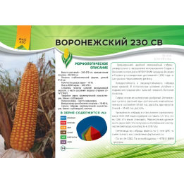 ЛИДЕР 230 СВ