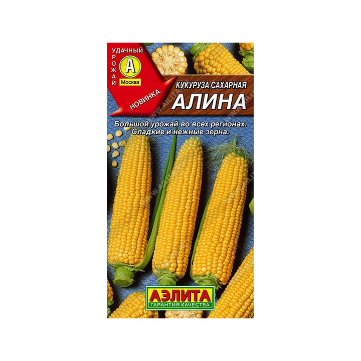 АЛЕНА М