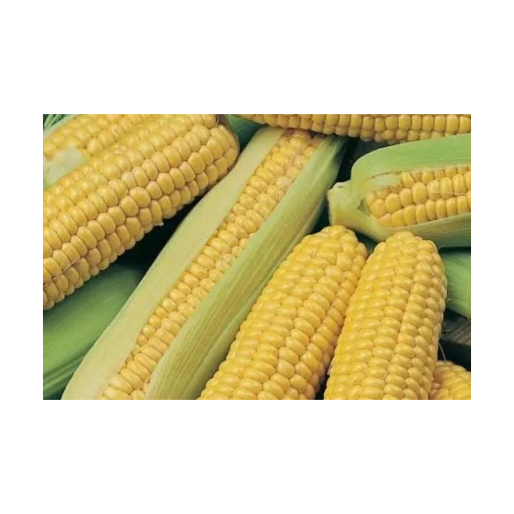 КР 070 МВ