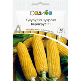ВЕРА М