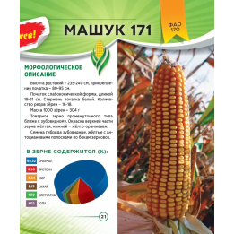 МАШУК 171