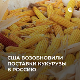 АС 33 009
