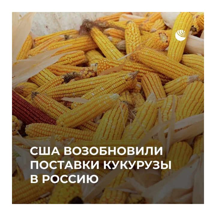 АС 33 009