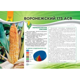 СТК 175