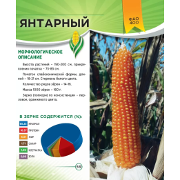 ЯНТАРНЫЙ