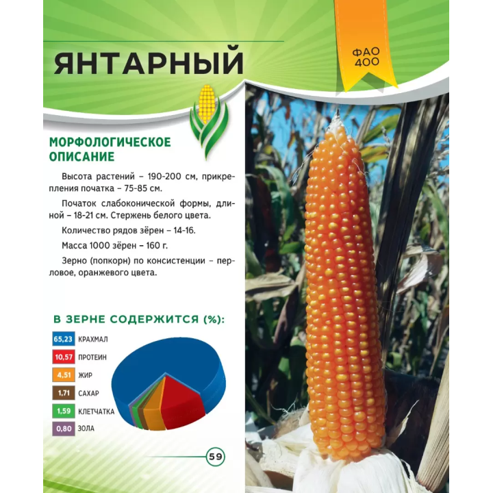 ЯНТАРНЫЙ