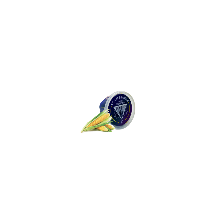 ЭКЗИСТ