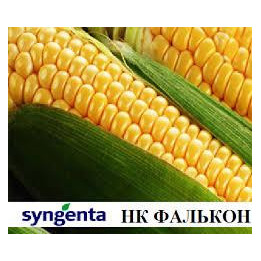 ВИЛКСОН