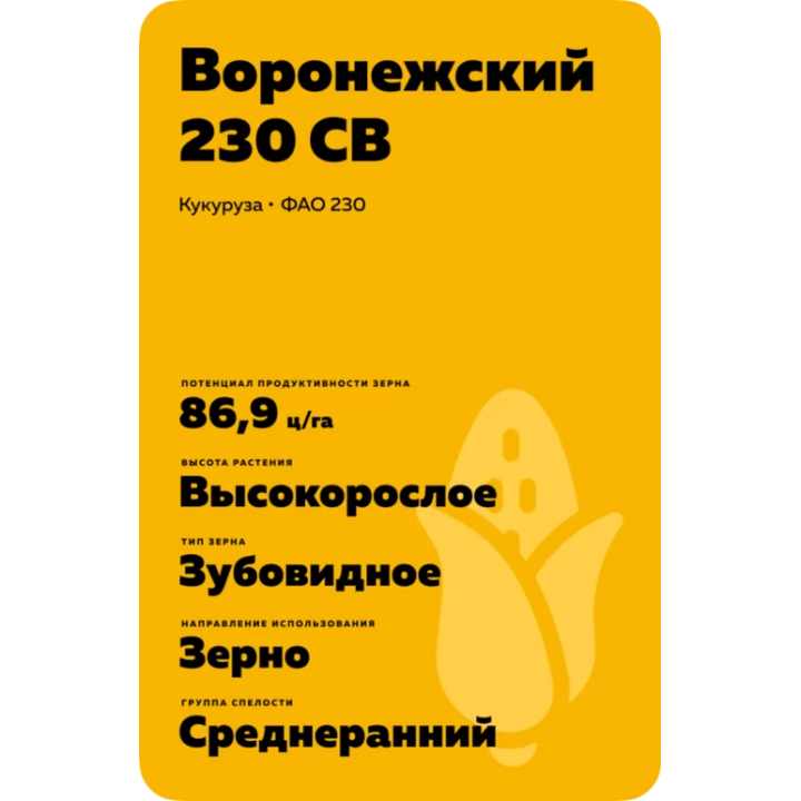 ВОРОНЕЖСКИЙ 230 СВ