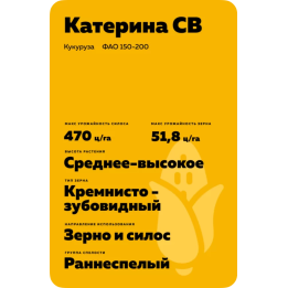 КОДИКЛАР