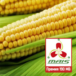 ПРЕМИЯ 190 МВ