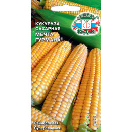 МЕЧТА М