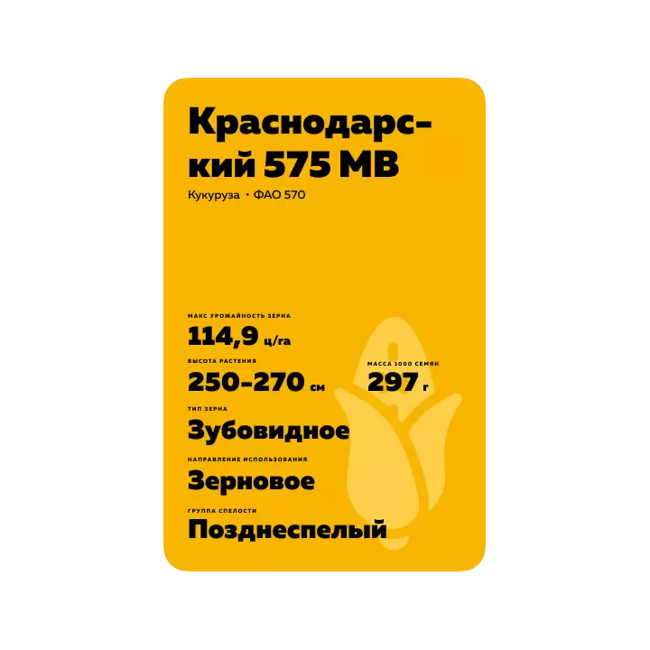 КРАСНОДАРСКИЙ 575 МВ