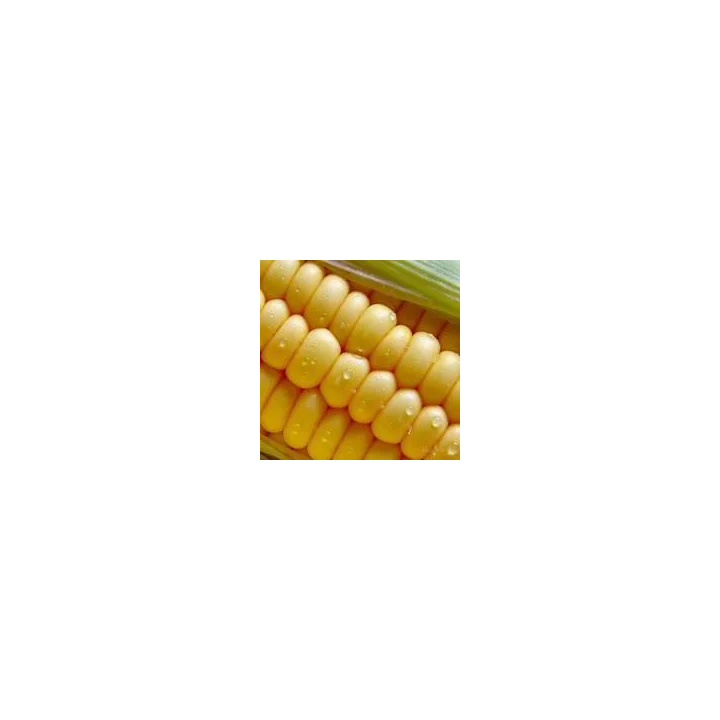 ЕС ИНБЕРРОУ