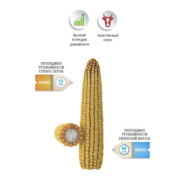 НС 510