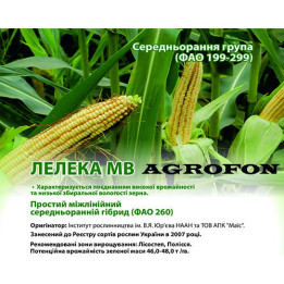 ЛЕКСОР