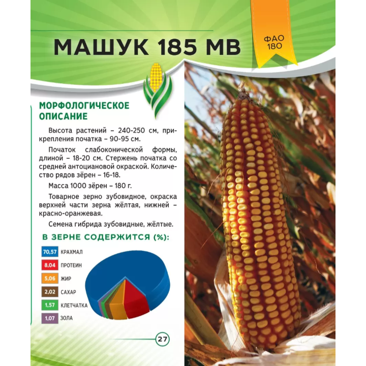МАШУК 185 МВ